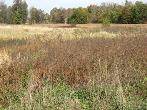 Property photo 15 - 212 Acres Offered in 6 Tracts - Selling Regardless of Price
